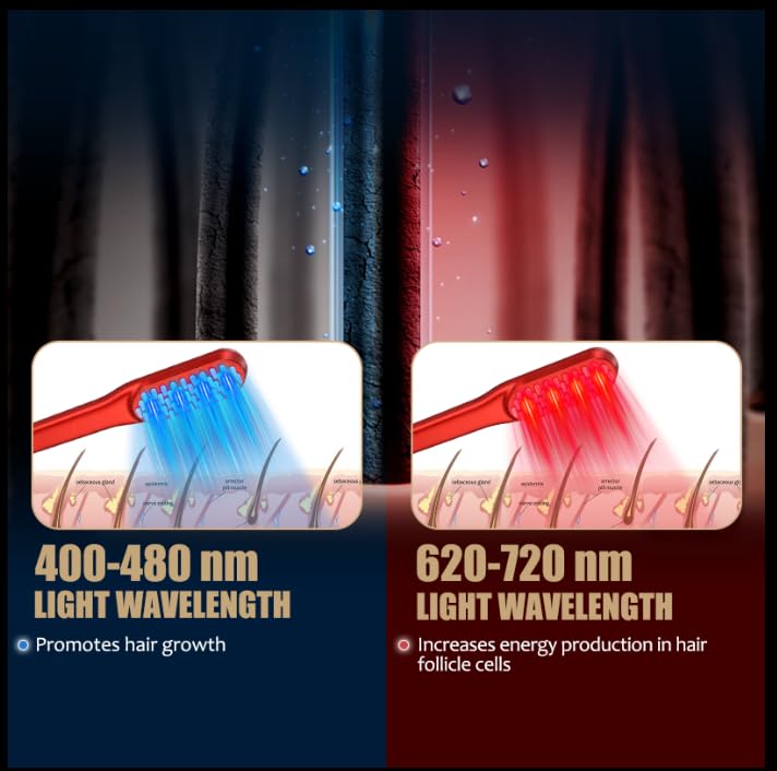 Laser-Haarwuchskamm, Rotlicht- – Hair Care Vegan Bewertung und Preis
